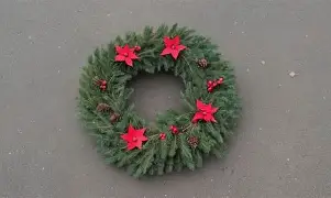 OIP