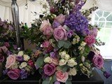 photo_22